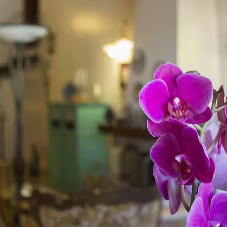 Gagliardetta Casa vacanze